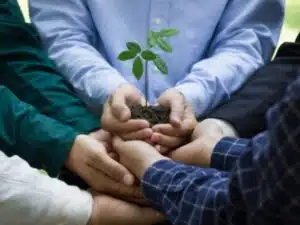 diverse persone che uniscono le mani per sostenere insieme una piantina con del terreno, suggerendo un tema di unità, crescita e responsabilità ambientale collettiva.