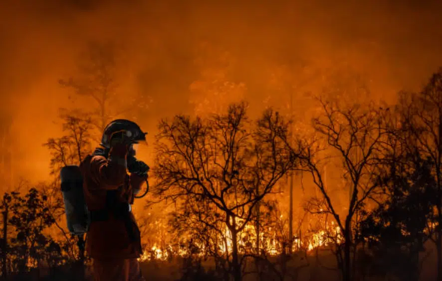 Pompiere vicino a un incendio